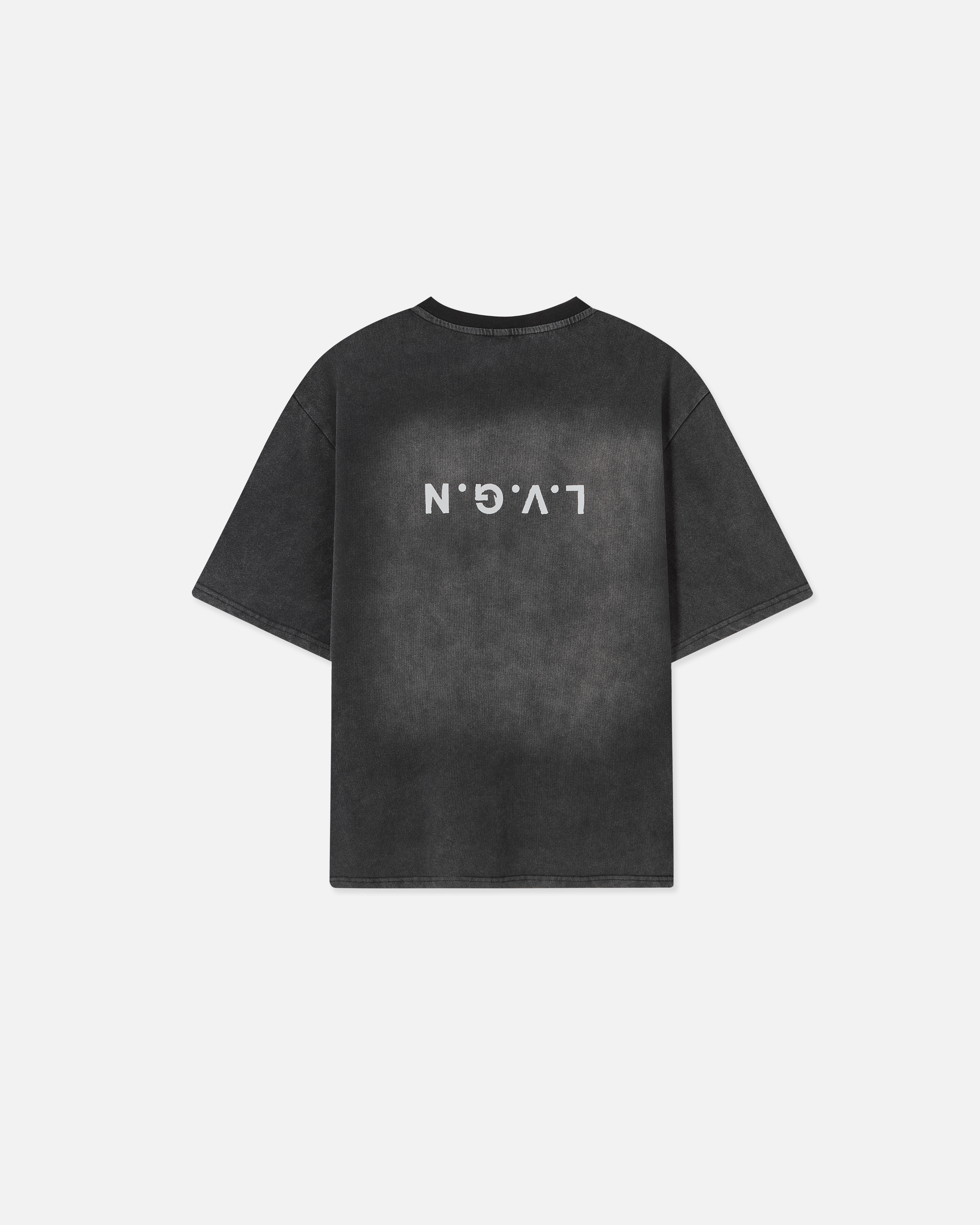 SCRIPTURE TEE GREY