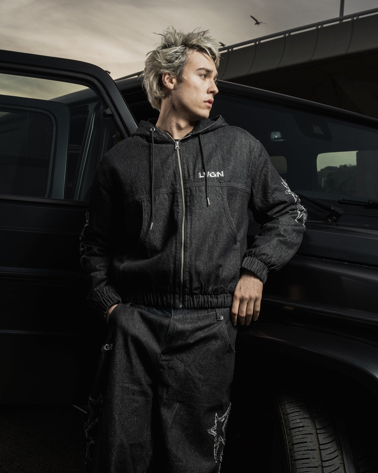 Grey Star Denims